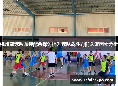 杭州篮球队默契配合探讨提升球队战斗力的关键因素分析