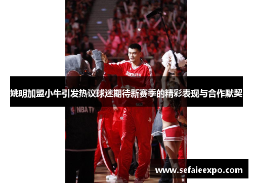 姚明加盟小牛引发热议球迷期待新赛季的精彩表现与合作默契