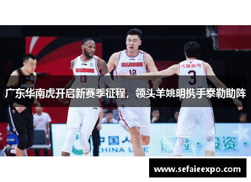 广东华南虎开启新赛季征程，领头羊姚明携手泰勒助阵