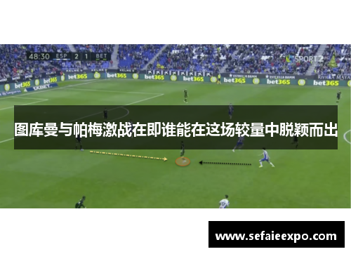 图库曼与帕梅激战在即谁能在这场较量中脱颖而出